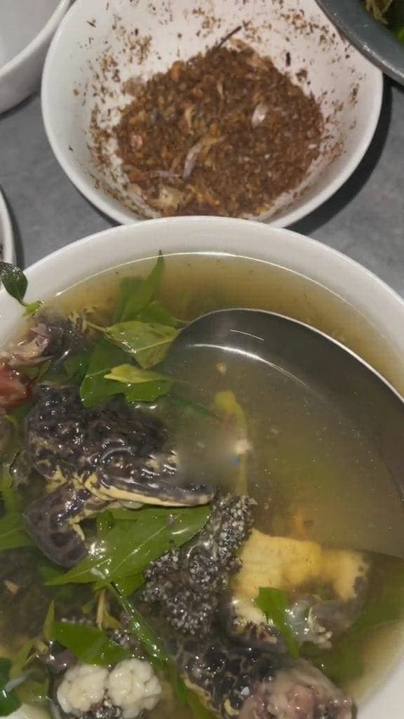 Nhìn bát canh ếch đồng như này, hỏi rằng gia đình bạn trai của cô gái trên liệu có dám động đũa.