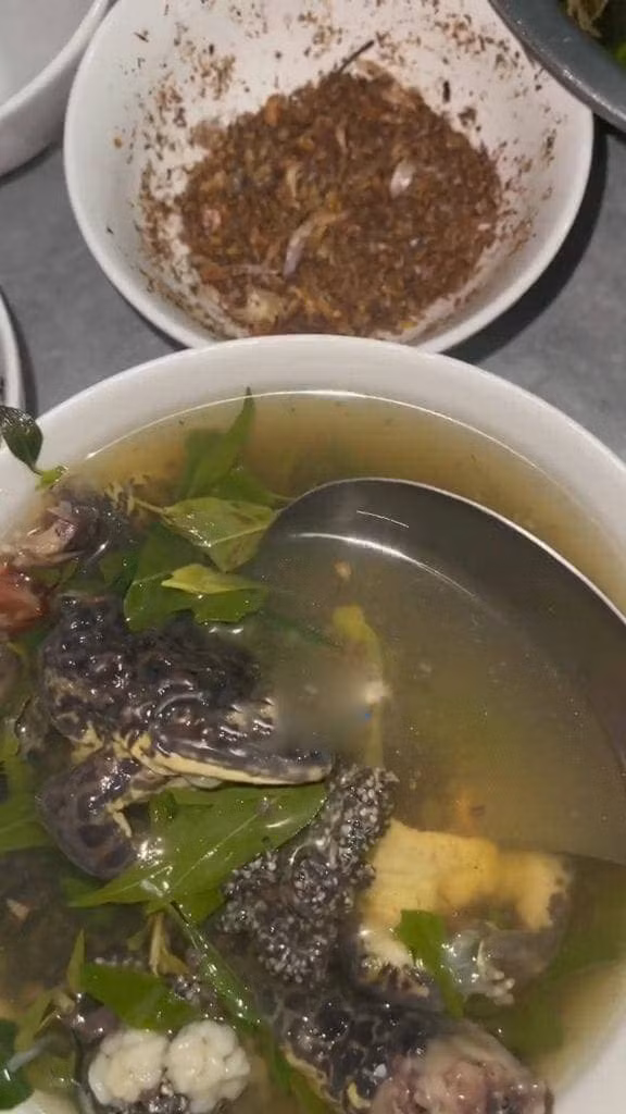 Nhìn bát canh ếch đồng như này, hỏi rằng gia đình bạn trai của cô gái trên liệu có dám động đũa.