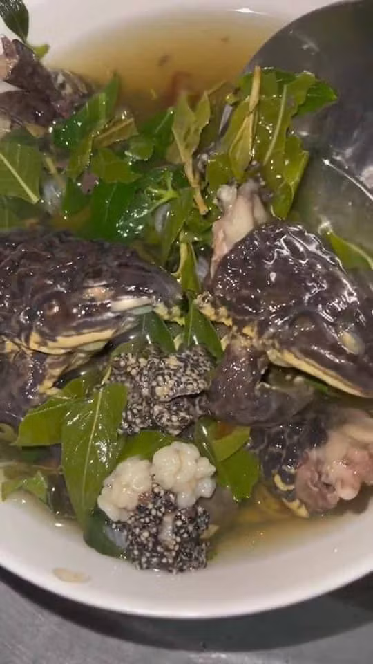 Mới đây, một cô gái lần đầu về nhà bạn trai và trổ tài nấu món canh ếch đồng gây chú ý.