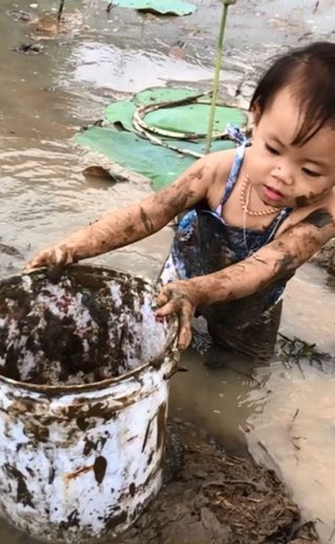Cụ thể, tranh thủ lúc mẹ vắng nhà, giao nhiệm vụ cho cô nàng chăm em, thay vì bế khư khư trên tay, nâng niu, nhốt trong nhà chơi mấy trò an toàn, cô bé lại cho em ra đầm sen gần nhà hái ngó sen và bắt ốc.