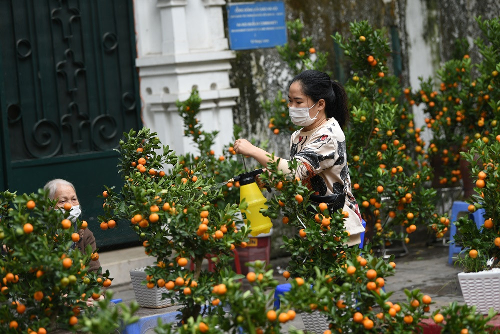Với anh Bình, một người trồng đào lâu năm, kể từ khi làng đào Nhật Tân (quận Tây Hồ) lên phố, các vườn đào ở An Khánh càng được mở rộng, cây cảnh ngày Tết trở thành “cần câu cơm” cuối năm cho người nông dân.