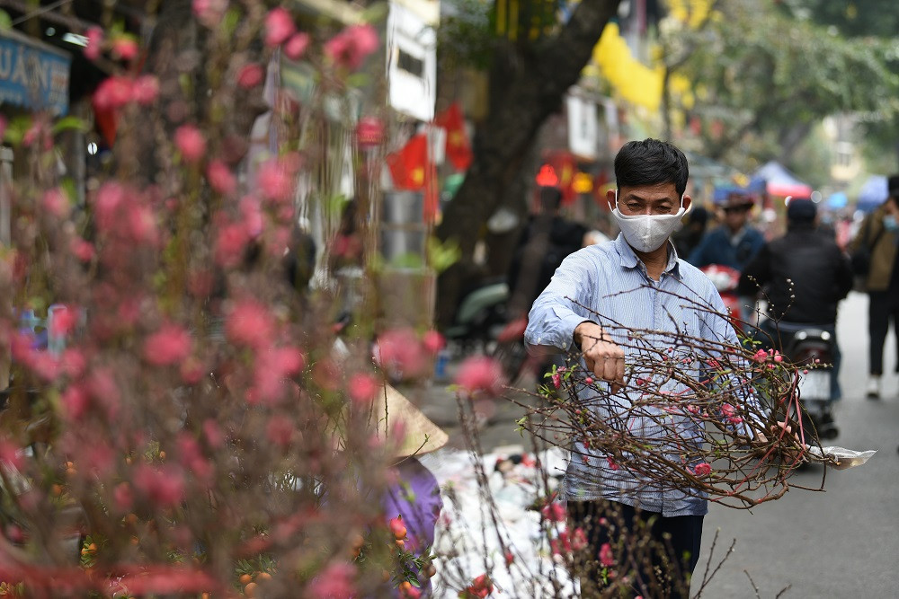 “Vào xem hoa đào đi các em ơi! Đào năm nay đẹp lắm, mấy em làm một cành về chơi Tết. Không thì nghỉ chân làm cốc nước cũng được,” một phụ nữ đứng tuổi đon đả mời chào trên đường Láng.