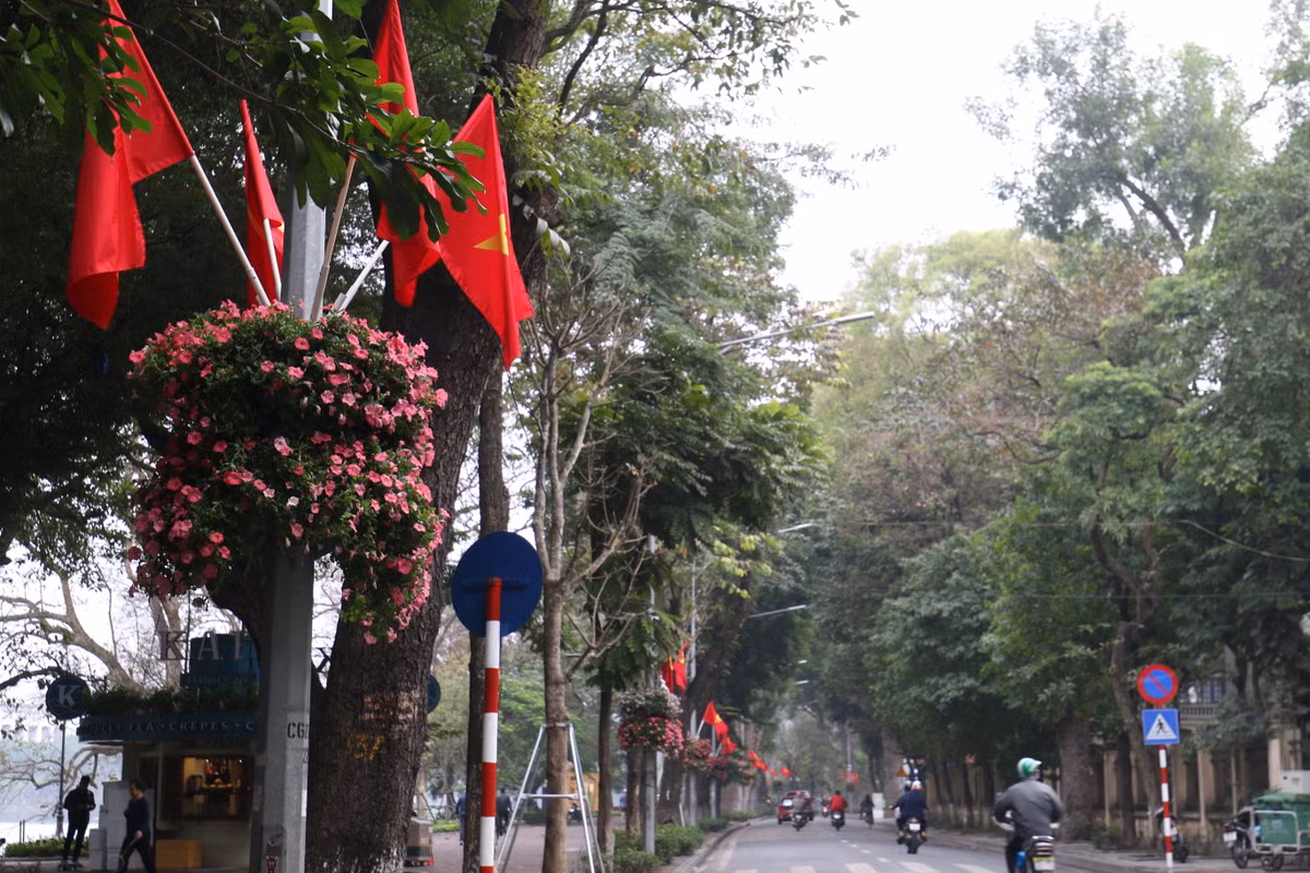 Nhiều con phố cờ, hoa, băng rôn đã giăng giăng chào mừng năm mới 2020, Tết Canh Tý. Nhiều mô hình chuột vàng, chuột đỏ khổng lồ được đặt giữa các ngã tư, công viên...