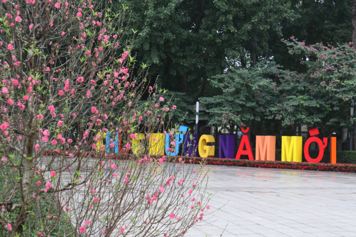 Những công nhân cây xanh Hà Nội đã sắp xếp những chậu hoa, tiểu cảnh để trang trí, làm đẹp hơn phố Thủ đô những ngày giáp Tết.