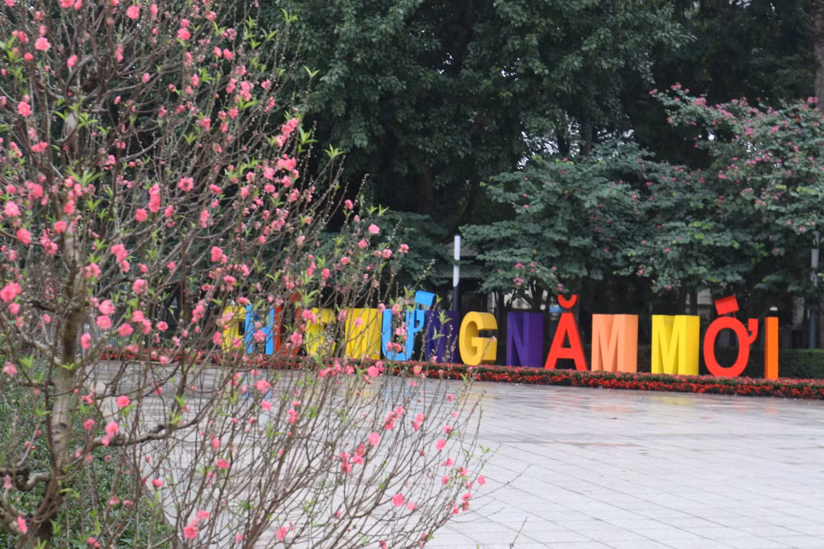 Những công nhân cây xanh Hà Nội đã sắp xếp những chậu hoa, tiểu cảnh để trang trí, làm đẹp hơn phố Thủ đô những ngày giáp Tết.