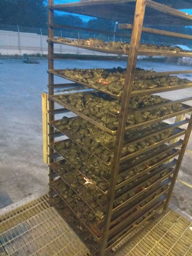 Cháy đen đã là gì, đây là món bánh mì hóa than khiến ai nhìn cũng phải phát hoảng..