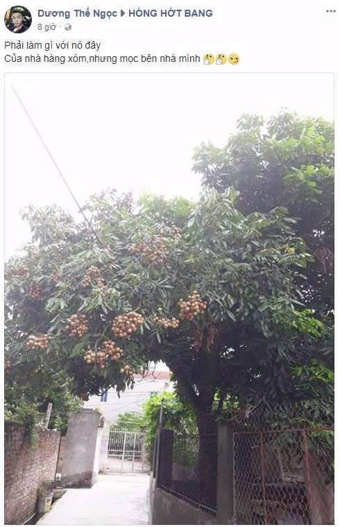 Trồng cây ăn quả mong đến ngày quả chín nhưng khi chính cái cây tay mình trồng, tay mình chăm bón lại đua ra ngõ để cả làng được hưởng là điều chẳng chủ nhà nào muốn.