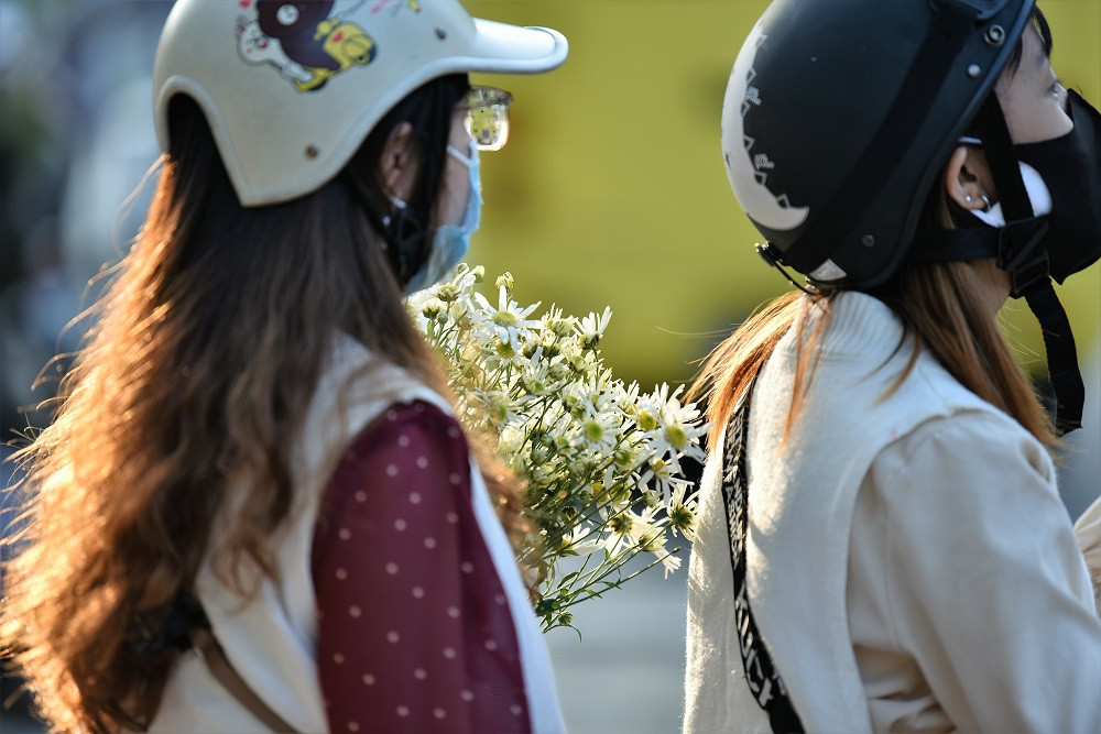 Dù cúc họa mi đầu mùa khá đắt nhưng nhiều bạn trẻ cũng mạnh dạn mua về để cắm ở nhà.