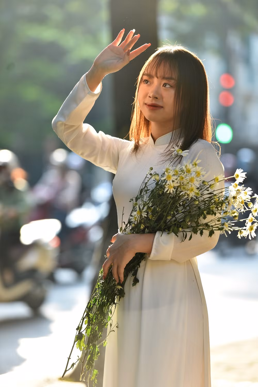 Những cánh hoa nhỏ xíu, mỏng manh khiến người ta tưởng rằng chúng sẽ yếu ớt như chính tên gọi của nó. Nhưng phải đến khi tận mắt nhìn chúng rung rinh trước cơn gió lạnh của mùa đông lòng người mới cảm nhận được hết sự kiên cường.