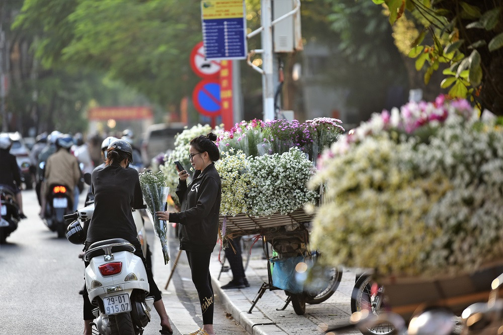 Chẳng rực rỡ như hướng dương, không kiêu sa như hoa hồng, cúc họa mi chọn cho riêng mình một nét thanh khiết. Phần vì thường tới cùng mùa lạnh, phần vì chính sắc trắng dịu dàng, nhẹ nhàng.