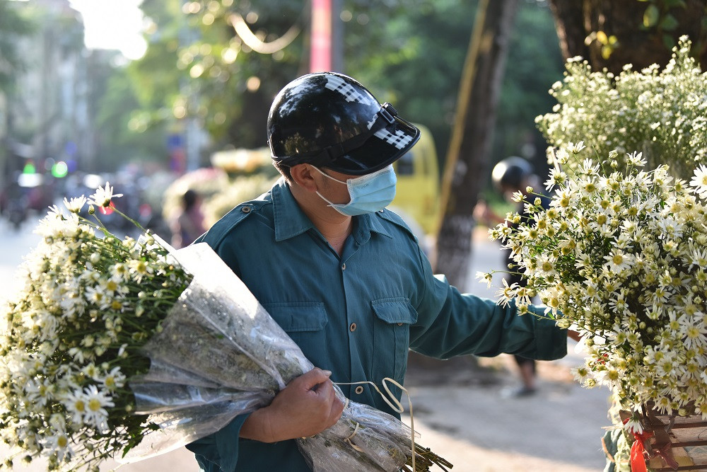 Thời điểm hiện tại, hoa cúc họa mi được bán nhiều ở các tuyến đường như: Phan Đình Phùng, Thụy Khuê… Dù chưa dày đặc nhưng loài hoa này được nhiều người săn tìm, đặc biệt là các bạn trẻ.
