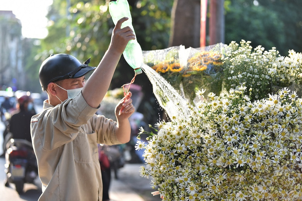 Dọc tuyến phố Phan Đình Phùng vào dịp cuối tuần, nhiều bạn trẻ xinh đẹp, diện áo dài trên tay là bó hoa cúc họa mi đẹp tinh khôi trong chút nắng của chiều đầu đông.