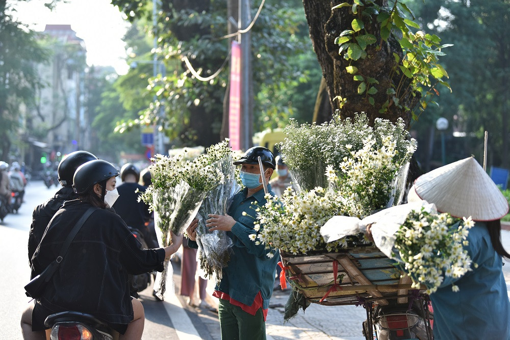 Hoa cúc họa mi chỉ nở có một mùa duy nhất trong năm và cũng kéo dài chỉ khoảng 2 tuần nữa rồi lại hết nên nhiều bạn trẻ tranh thủ thời gian này để chụp những bức ảnh đánh dấu cho cái đầu đông của Hà Nội.