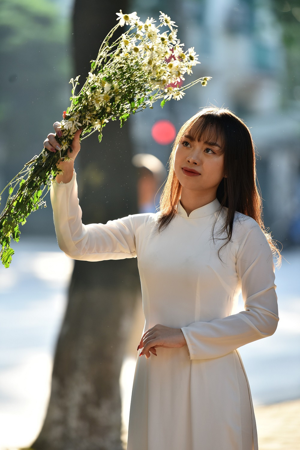 Thiếu nữ Hà thành diện chiếc áo dài trăng, e ấp bên đóa cúc họa mi trong ánh nắng le lói chiều đầu đông cũng đủ làm lòng người say mềm.