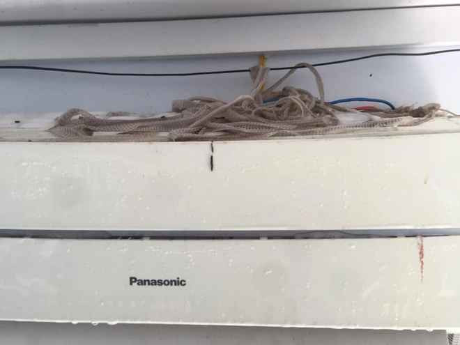 Loạt xác rắn trên nóc cục lạnh điều hòa.