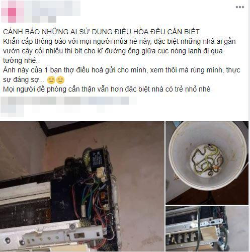 Một chủ nhà từng đăng tải bài viết hiện tượng rắn làm ổ trong điều hòa.