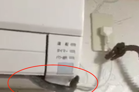 Đây không phải lần đầu tiên, các chủ nhà phát hiện các "bé na" tìm vào điều hòa làm nơi cư trú.