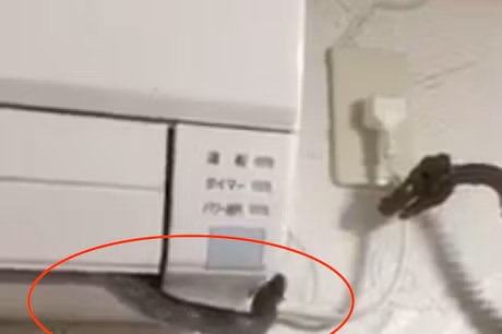 Đây không phải lần đầu tiên, các chủ nhà phát hiện các "bé na" tìm vào điều hòa làm nơi cư trú.