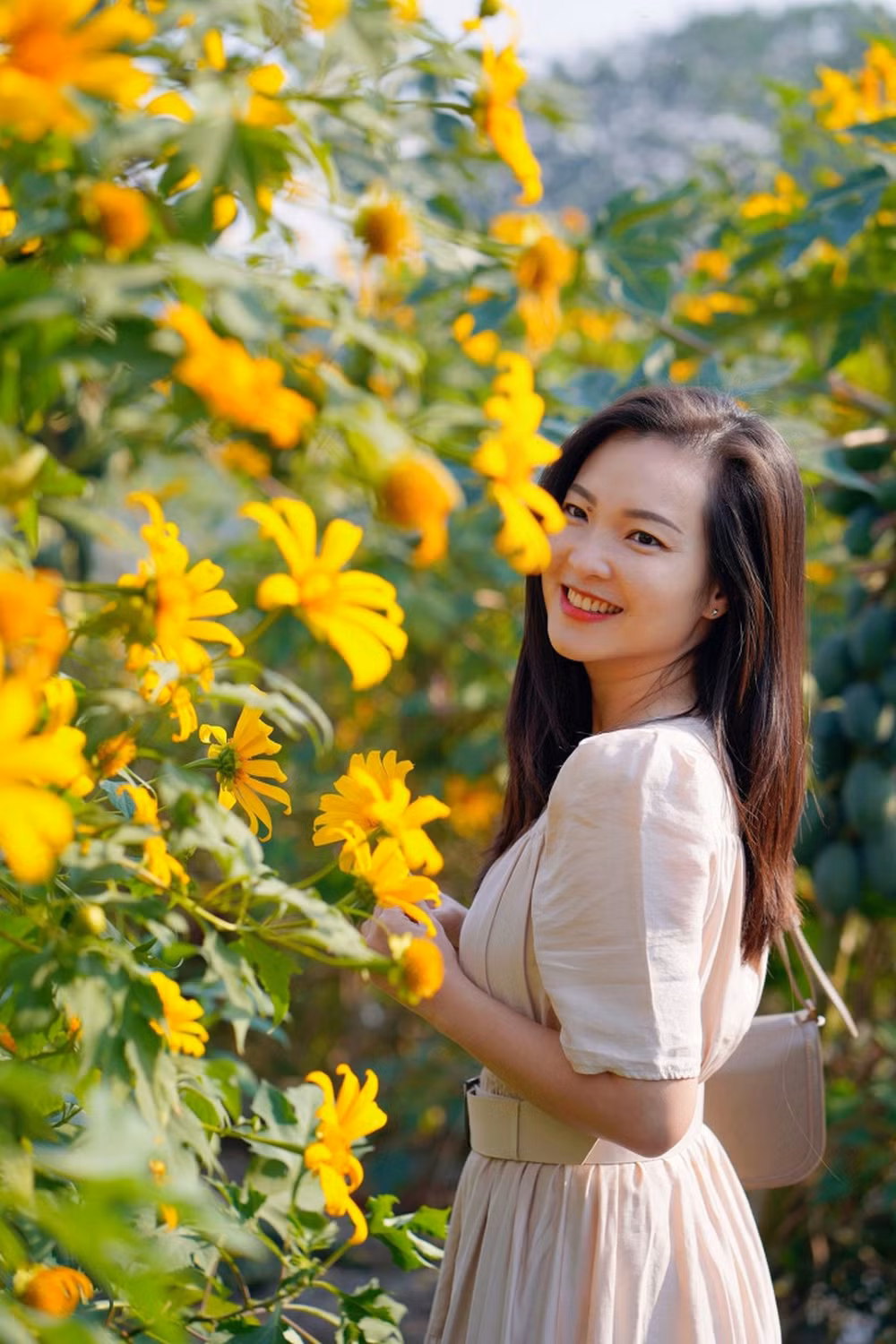 Tuy nhiên, việc BTV Hoài Anh chuyển công tác không phải lý do để Phương Thảo sớm quay lại dẫn bản tin Thời sự.