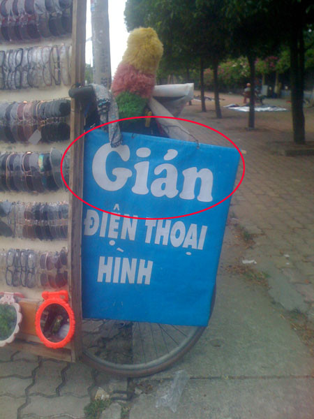 "Gián" chỉ loài vật thay không thể thay cho việc dán điện thoại.