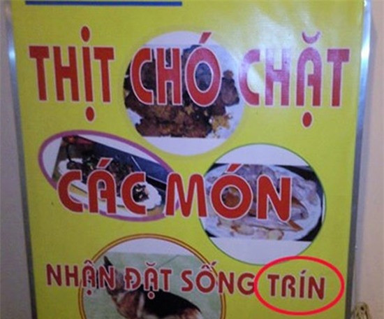 Thức ăn chín bị biến thành "trín" tại một quán thịt chó.
