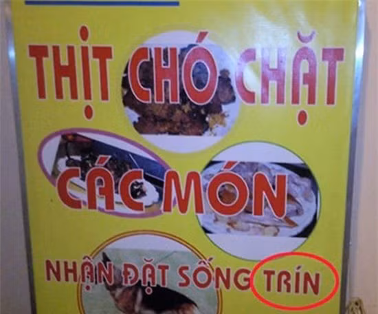 Thức ăn chín bị biến thành "trín" tại một quán thịt chó.