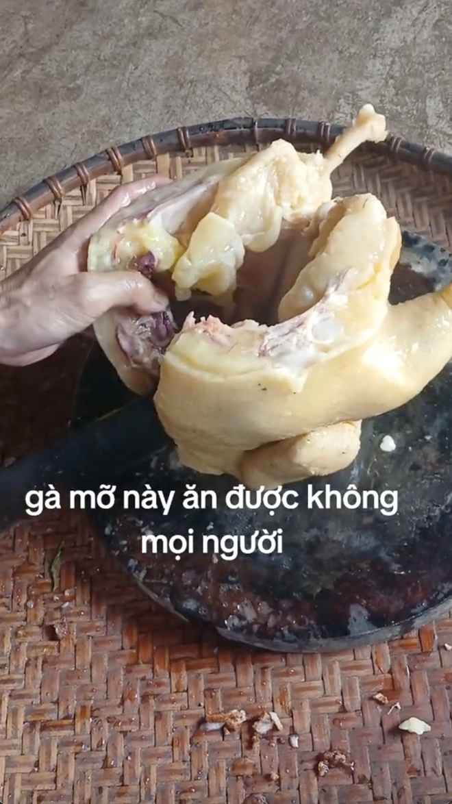 Gà ta, gà tây, gà ác, gà công nghiệp… đủ thể loại gà đã từng được nhìn thấy nhưng con gà béo đến mức ngập mỡ thế này quả thật khiến nhiều người không thể tin vào mắt mình.