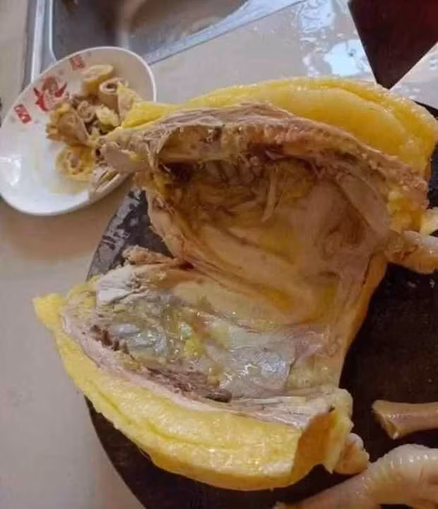 Hình ảnh những con gà "ngập mỡ" được chia sẻ trên MXH.