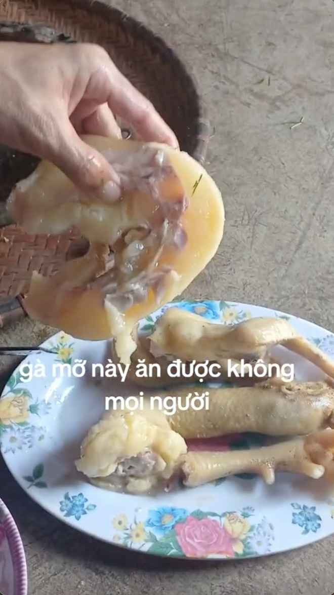 Có thể nhận định, 90% cơ thể chú gà này là… mỡ, khó lòng mà tìm được miếng thịt. Tuy nhiên, trong trường hợp này lại là nỗi buồn của người mua vì gà mỡ khó ăn, thậm chí còn có hại cho cơ thể.