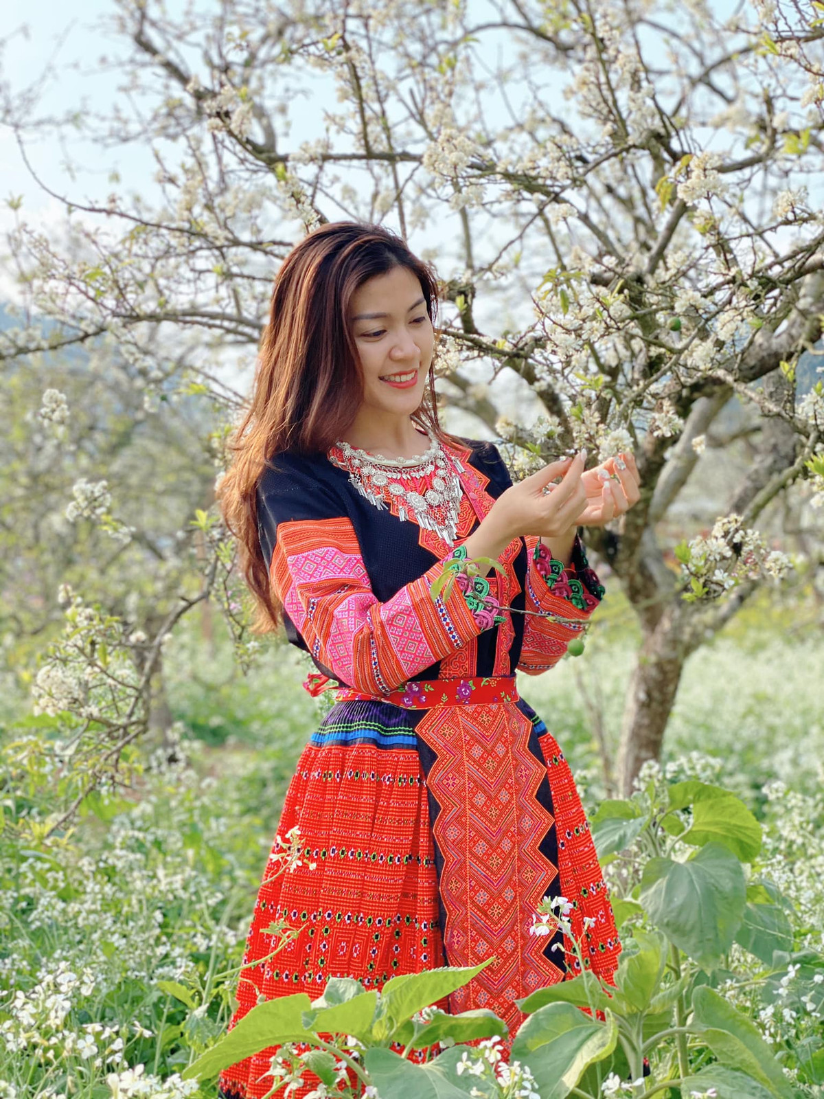 Tranh thủ mùa hoa mận nở, nữ MC VTV hóa gái H'Mông gây sốt mạng Tranh thu mua hoa man no, nu MC VTV hoa gai H'Mong gay sot mang
