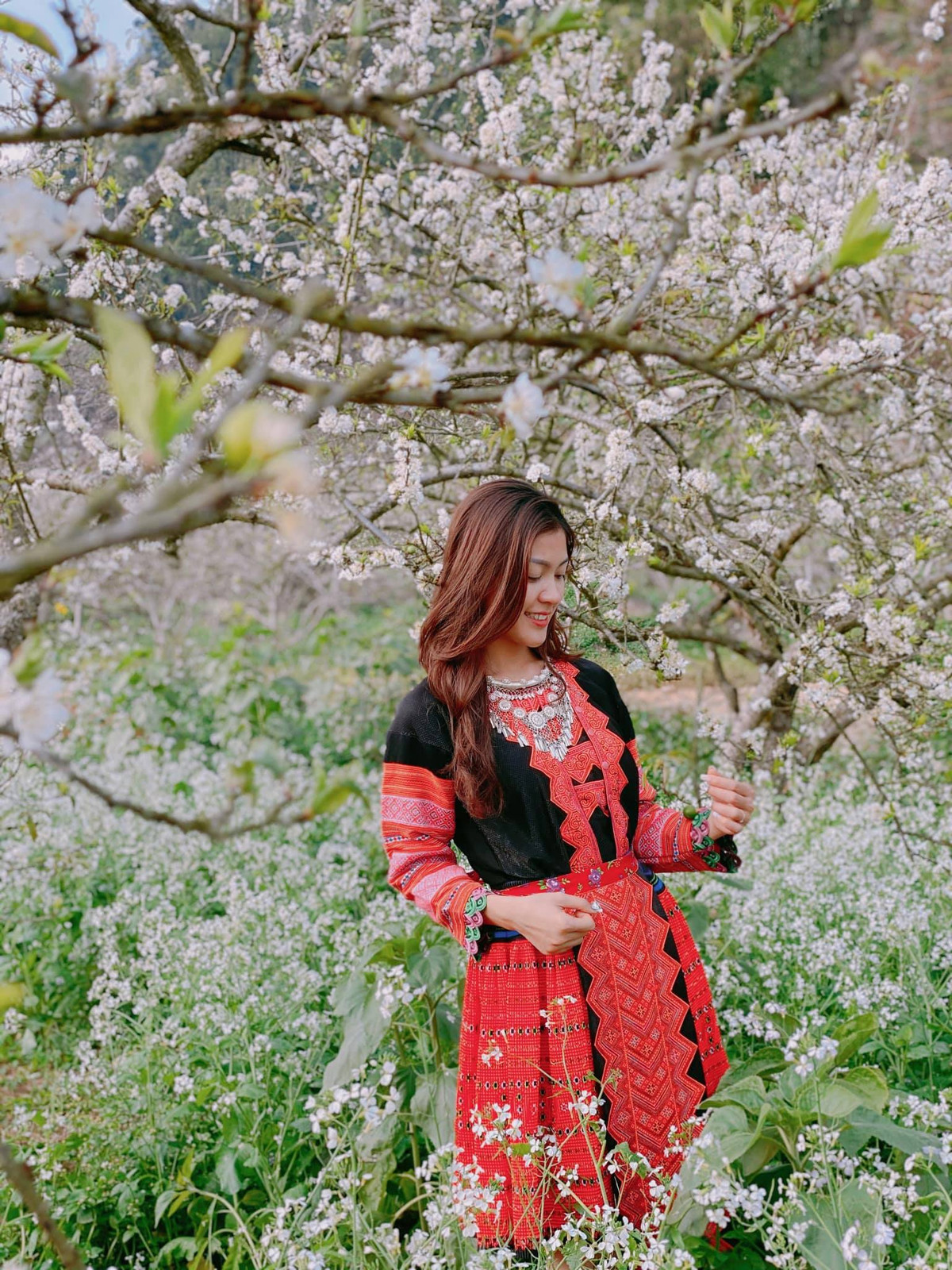 Trong khung cảnh như đẹp như trong tranh của Mộc Châu mùa hoa mận, MC Thu Hằng diện lên mình bộ trang phục của các cô gái H'Mông.