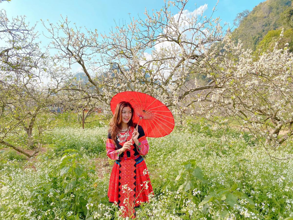 Tranh thủ mùa hoa mận nở, nữ MC VTV - Nguyễn Thu Hằng mới đây đã đăng tải những bức ảnh tuyệt đẹp khi hóa cô gái H'Mông gây sốt mạng.