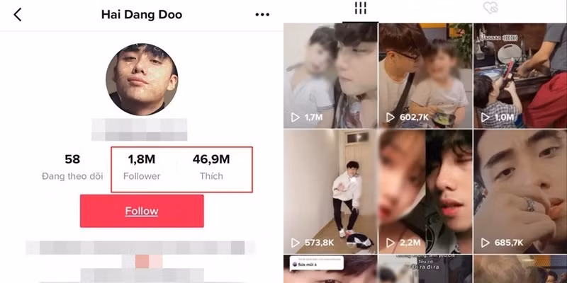 Được biết đến thời điểm hiện tại, Hải Đăng Đỗ đã nhận được hơn 1,8 triệu follow cho TikTok của mình.