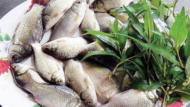 Cá diếc còn được gọi là cá ngư, là một loài cá nước ngọt thuộc họ cá chép. Loại cá này nổi tiếng vì chứa nhiều chất dinh dưỡng tốt cho sức khoẻ.