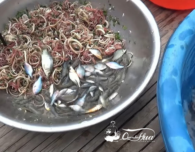 Cách chế biến cá diếc rất đa dạng, có thể mang cá diếc đi kho, chiên, nấu canh, nấu lẩu… đều ngon. Trong số đó, món cá diếc nấu với rau răm vẫn là đặc trưng nhất.