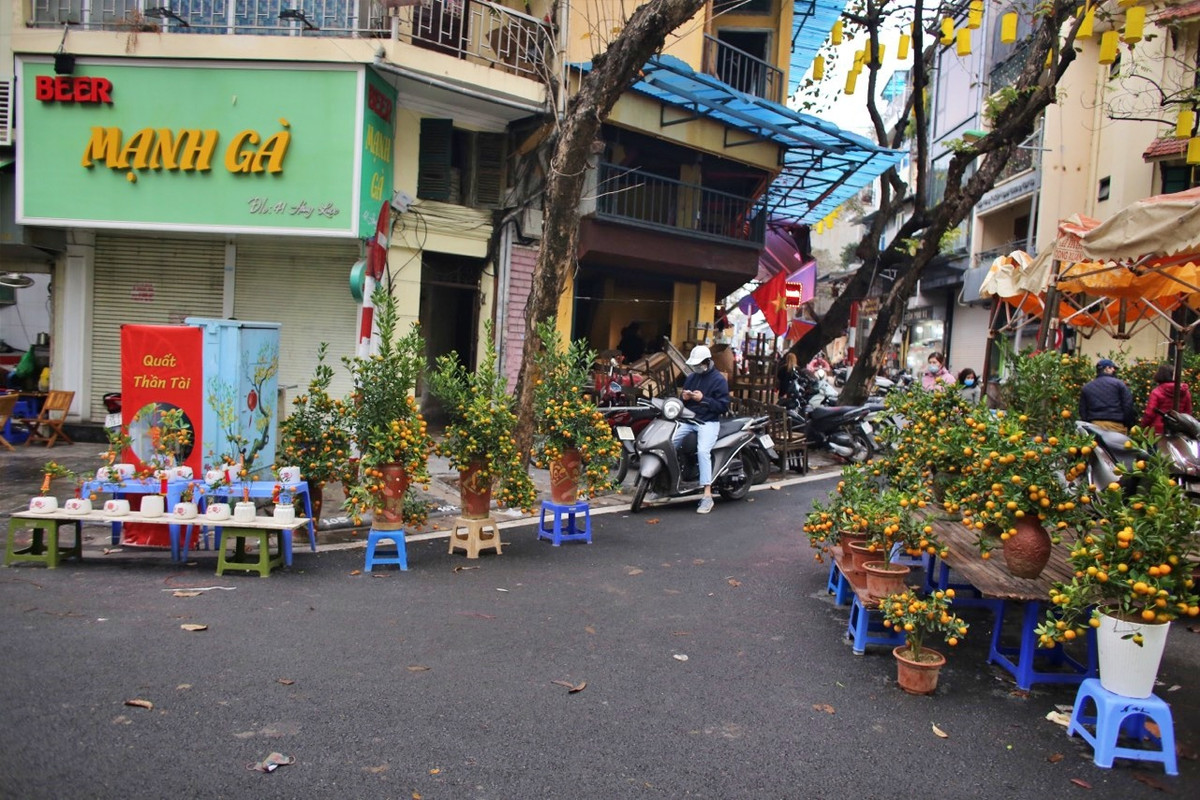 Một góc chợ hoa Tết cổ truyền ở phố Hàng Lược rơi vào cảnh đìu hiu. Cây cối thì nhiều nhưng lượng khác mua tỉ lệ nghịch.