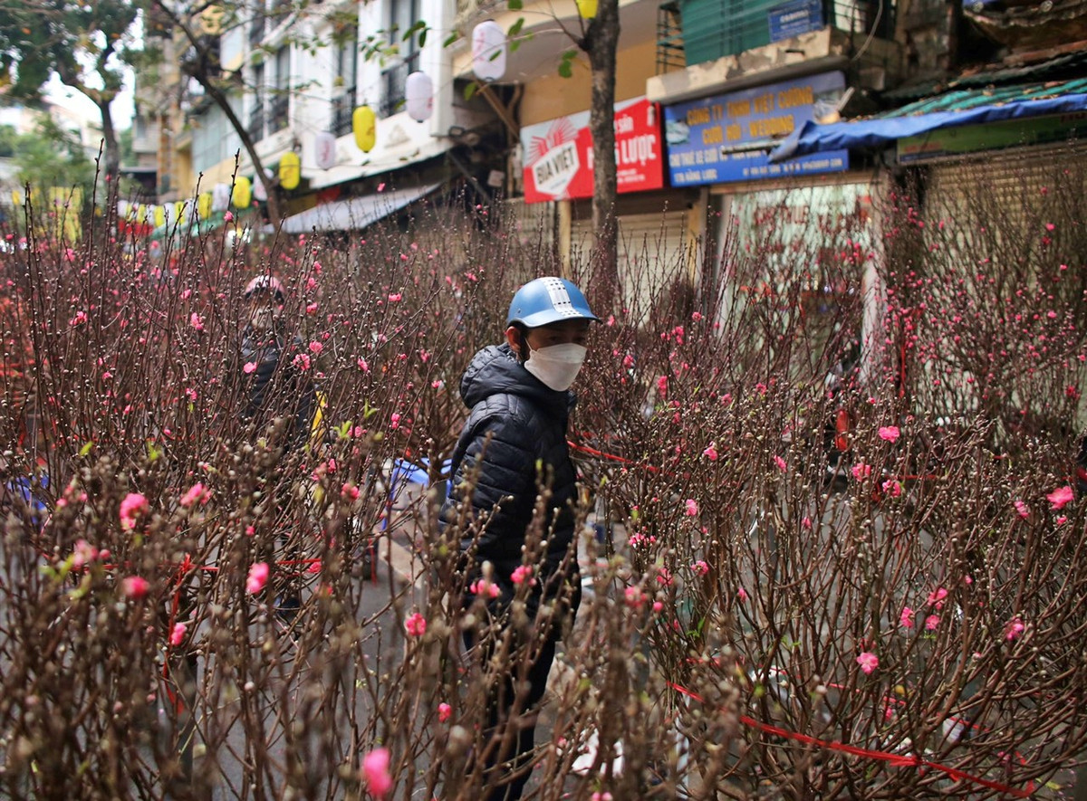 Cụ thể, anh Xuân nói: "Chán lắm, nhà tôi nhập có 100 cành đào mà lay lắt mãi bán chẳng xong. Người xem, ngó nghiêng thì đông chứ người trả giá, chốt mua chẳng là bao nhiêu".