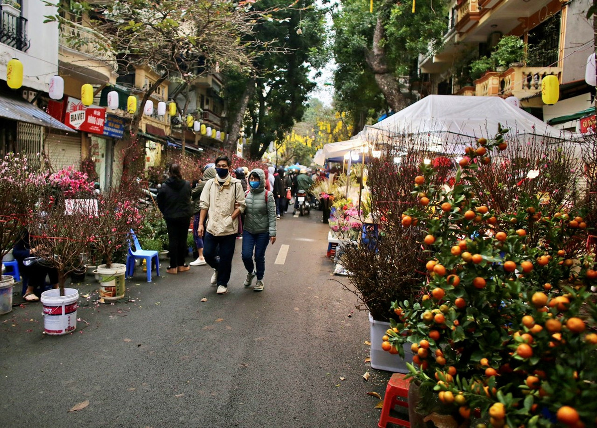 Tuy nhiên, theo ghi nhận của PV dù chợ hoa Tết Hàng Lược khá tấp nập nhưng đa phần là những người xem chứ lượng mua hàng khá ít ỏi.