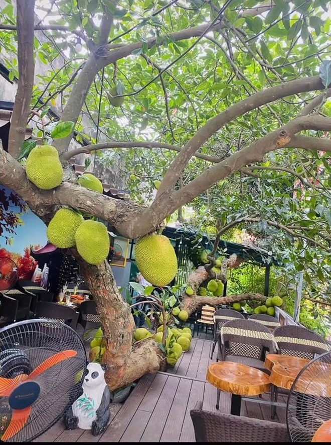 Phía dưới phần hình ảnh, dân mạng để lại bình luận như: "Quán này ở đâu thế ạ?", "Cho em xin địa chỉ đi thớt, em chuẩn bị sẵn bao rồi" hay "Tôi đang may bao đựng rồi, anh chị em có chưa?"...