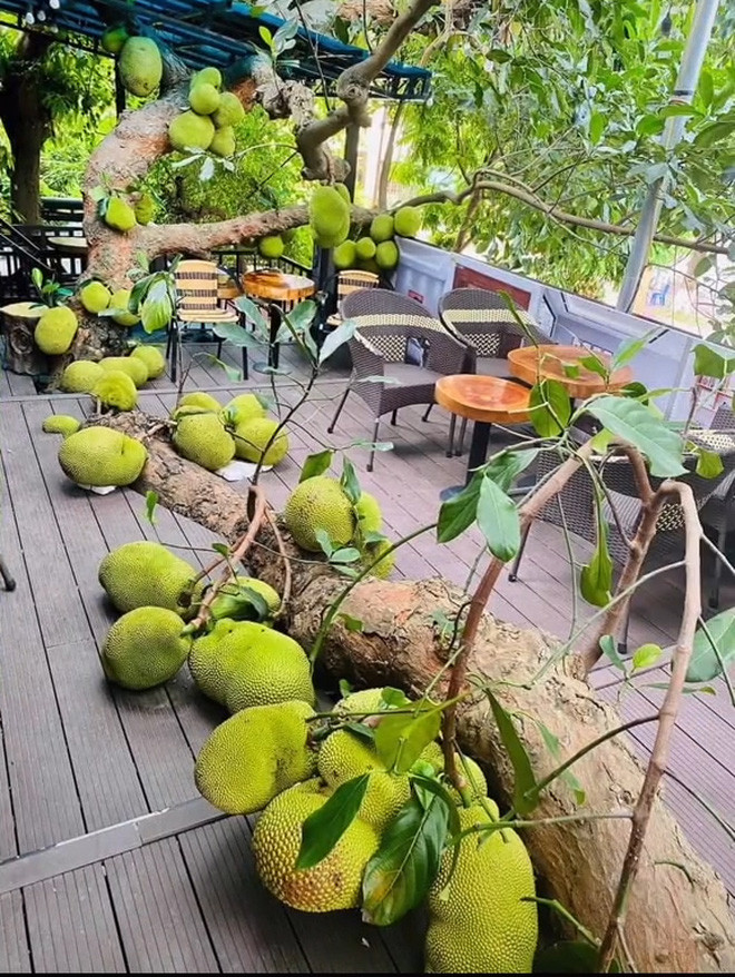 Một số người nhanh chóng hỏi địa chỉ và còn đùa rằng mình đã chuẩn bị sẵn bao, túi... để tới đây uống cà phê rồi.