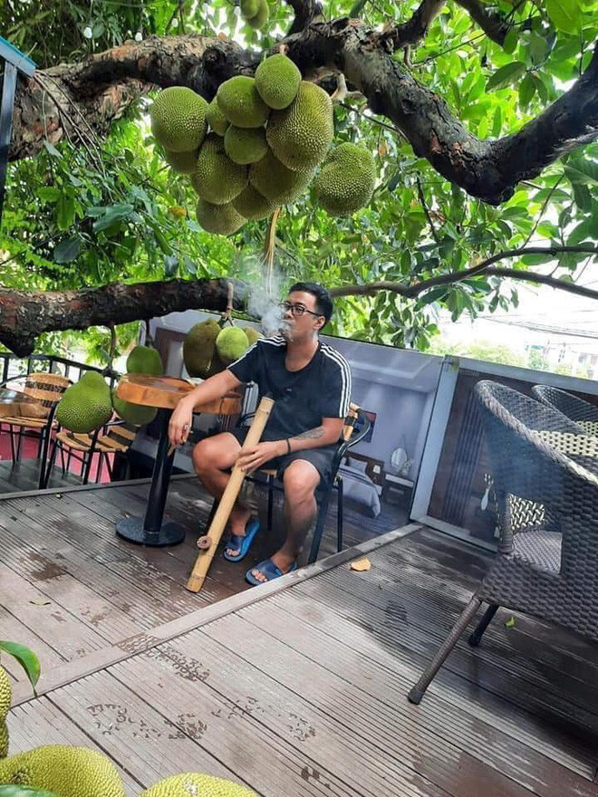 Thỉnh thoảng, khi có quả mít nào chín là chủ quán cũng hái xuống và bổ ngay tại trận.