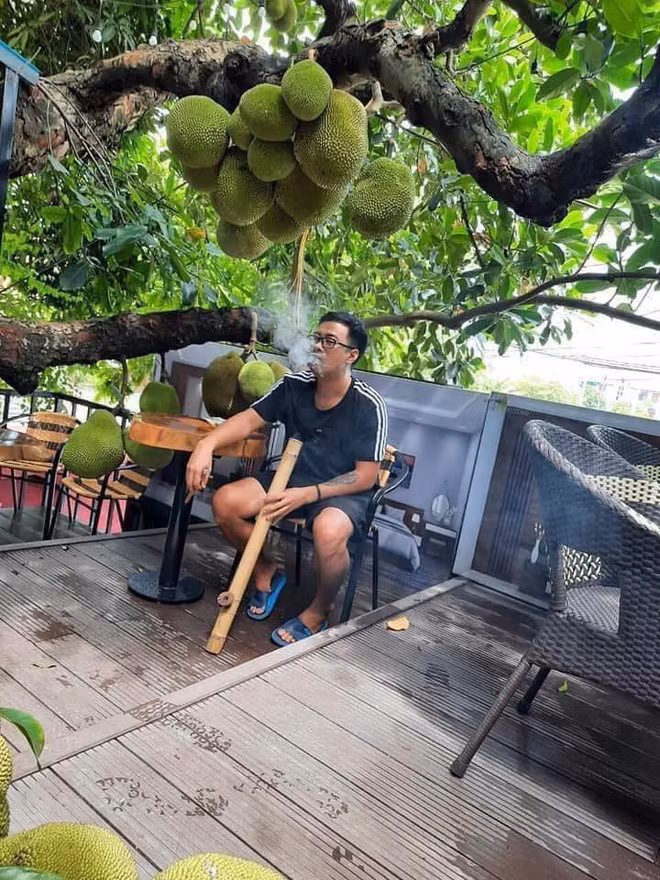 Thỉnh thoảng, khi có quả mít nào chín là chủ quán cũng hái xuống và bổ ngay tại trận.