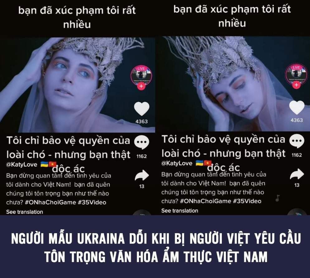 Trong clip TikTok của người mẫu Ukraina trên, cô đứng ngay ở 1 số quán thịt chó, yêu cầu người bán ngừng bán thịt chó, nói những người ăn thịt chó là dã man, vô nhân đạo, không yêu thương động vật.