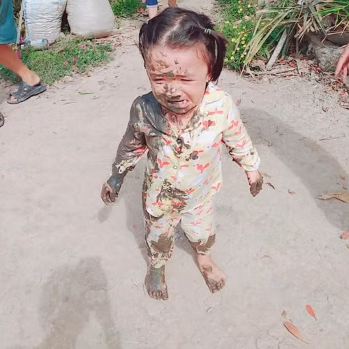 Chứng kiến hình ảnh tai nạn lao xe ngã xuống ruộng, nhiều dân mạng để lại ý kiến. Điển hình như nickname P.H.L bày tỏ: "Ngày xưa anh đi xe nam của ông ngoại, lao luôn vào bụi rậm người lớn phải bế ra cơ mà. Em bé có xe xịn thế này là hạnh phúc lắm rồi đó. Thôi không sao em ạ, hi vọng sau này đi xe sẽ sành điệu hơn, không ngã nữa".