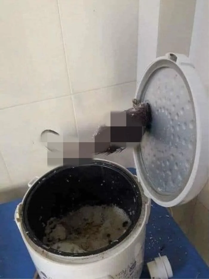 Sau kỳ nghỉ Tết Nguyên đán kéo dài, đến hiện tại, các bạn sinh viên đã và đang dần trở lại thành phố để tiếp tục việc học tập. Thế nhưng, cũng từ đây, nhiều tình huống trớ trêu đã xảy ra.