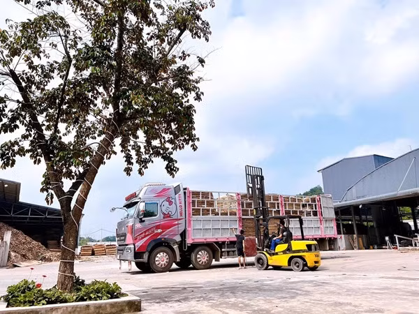 Chính đặc điểm này cộng với việc là nữ tài xế xe tải hiếm hoi được cộng đồng tài xế lái xe mạn Thái Nguyên, Bắc Kạn dễ dàng nhận ra.