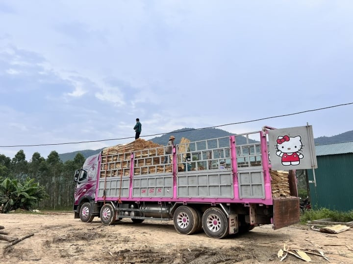 Hình ảnh chiếc xe container "hello kitty" của nữ tài xế N.H bốc hàng.