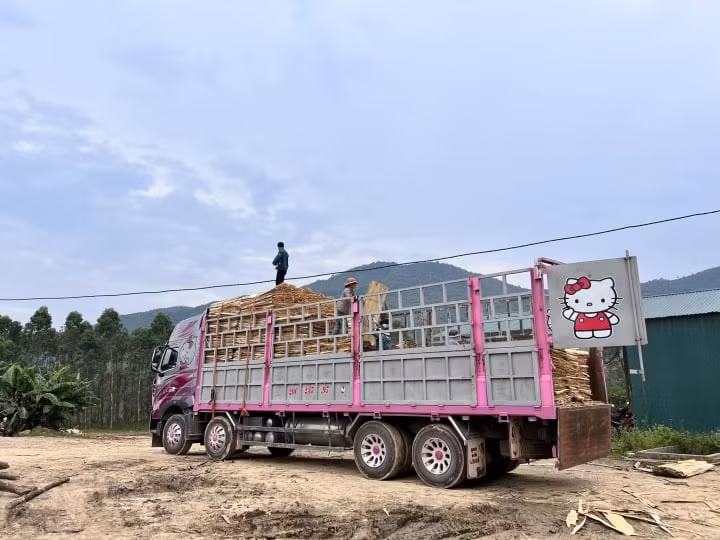 Hình ảnh chiếc xe container "hello kitty" của nữ tài xế N.H bốc hàng.