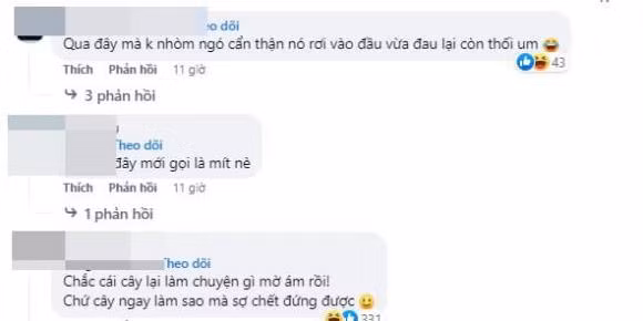 Nhiều người đoán cây mít này có thể do bị úng nước, sâu đục thân hoặc sét đánh nên mới bị chết. Nhìn cây trĩu quả ai cũng tiếc ngẩn ngơ.
