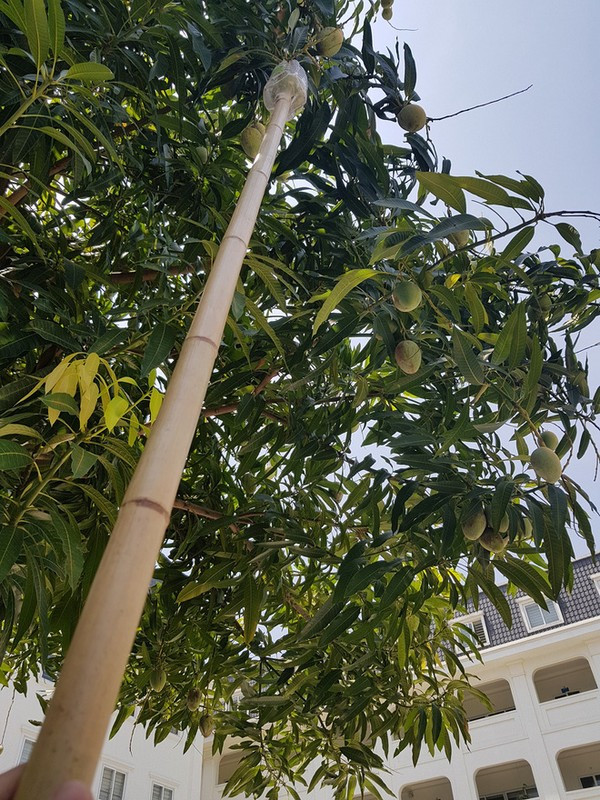 Sau khi loạt hình ảnh được đăng tải đã nhanh chóng thu hút sự chú ý và được lan truyền với tốc độ chóng mặt trên mạng xã hội.